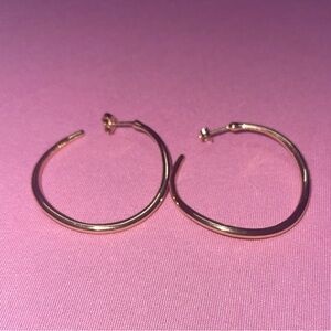 Pandora Gold Hoop Earrings